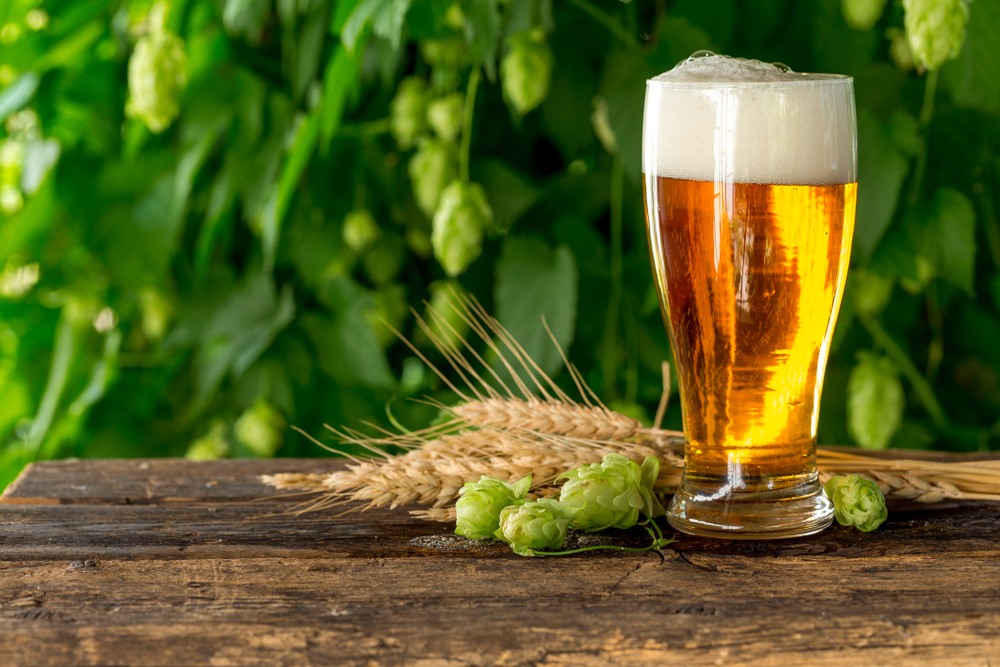 Best beer for weight loss